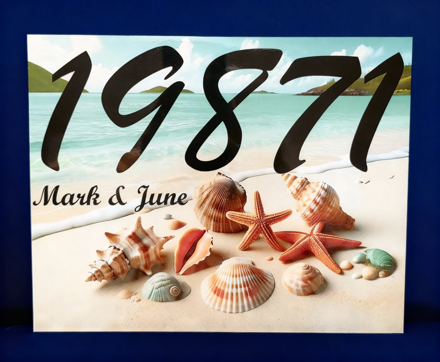 Aluminum Metal Photo / Sign Panels