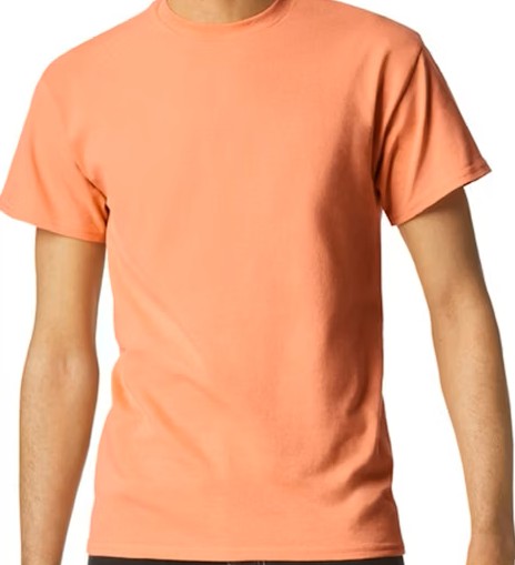 Gildan 5000 Unisex Adult Heavy Cotton T-Shirt - 71 Colors
